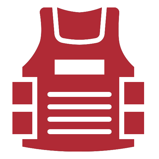 Sicurezza Icon